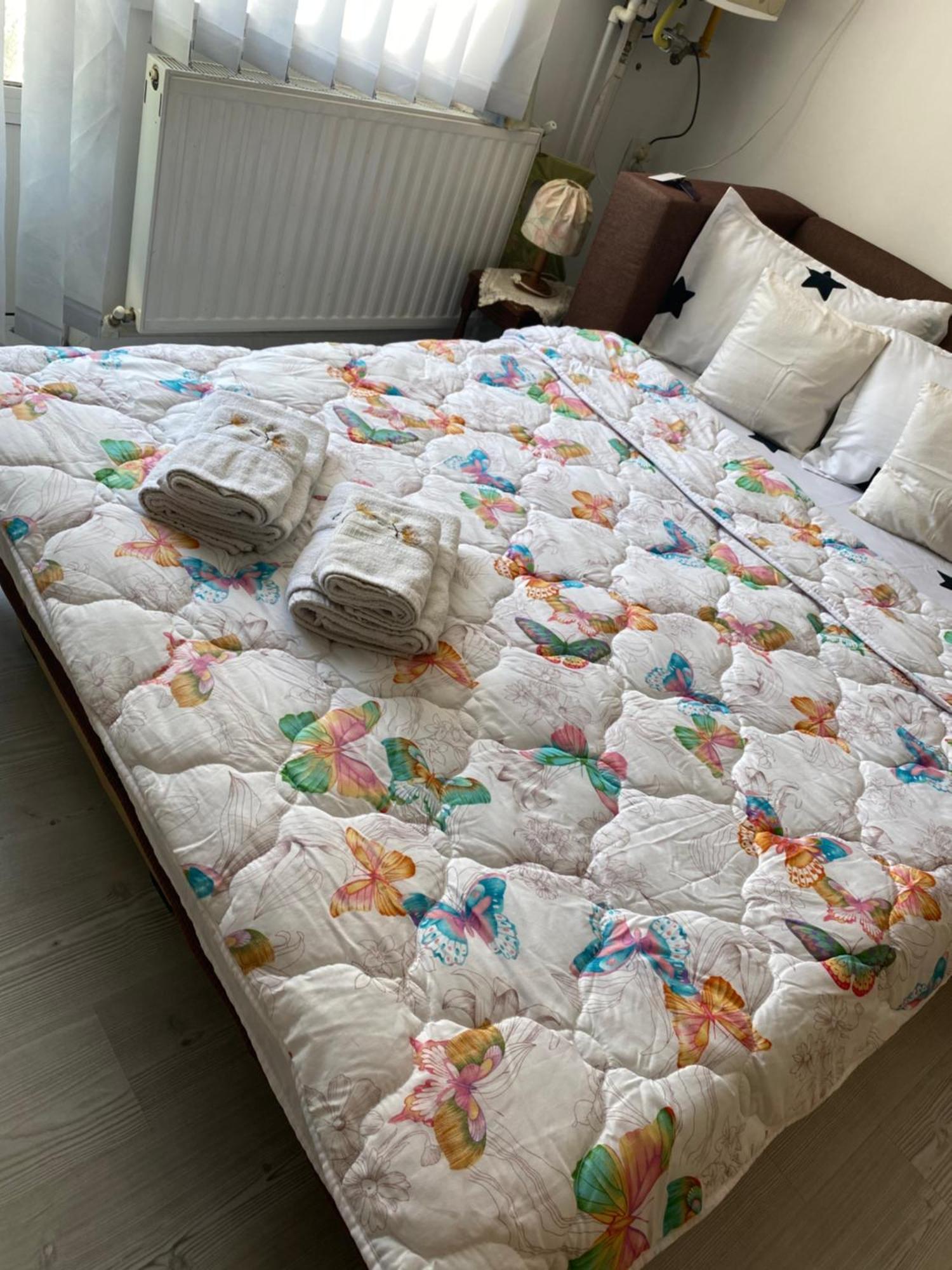 Anca Drambarean Appartement Alba Iulia Buitenkant foto